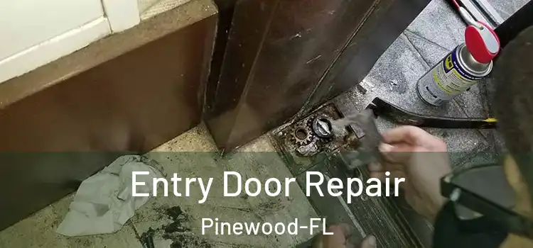  Entry Door Repair Pinewood-FL