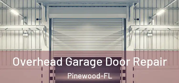Overhead Garage Door Repair Pinewood-FL